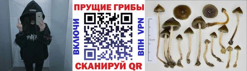 Галлюциногенные грибы ЛСД  дарнет шоп  Мезень 